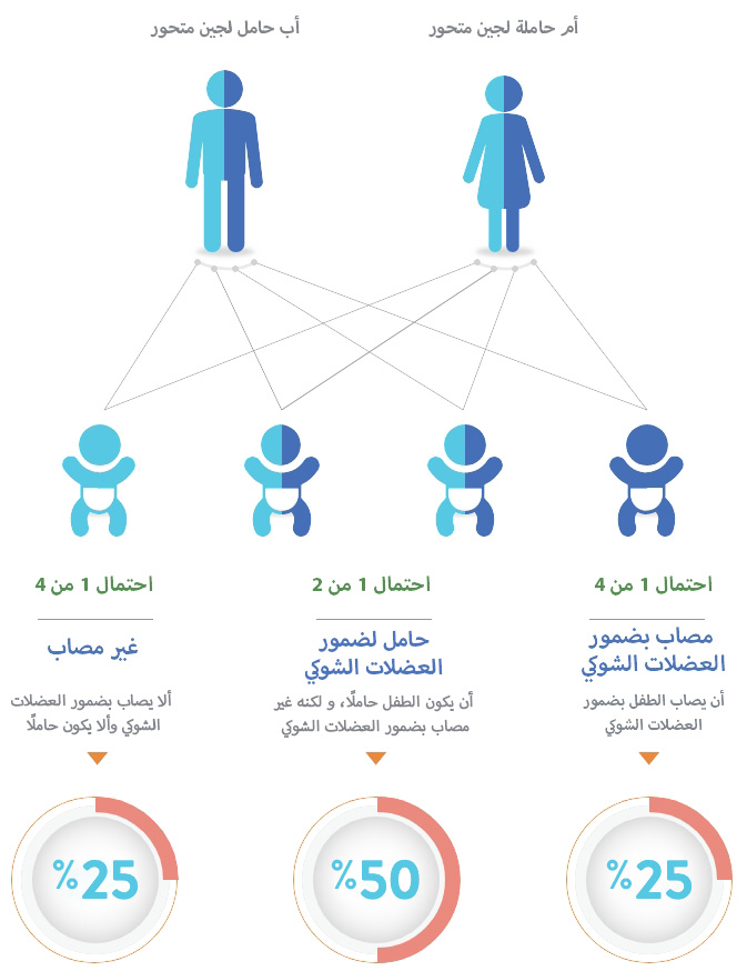 خطة