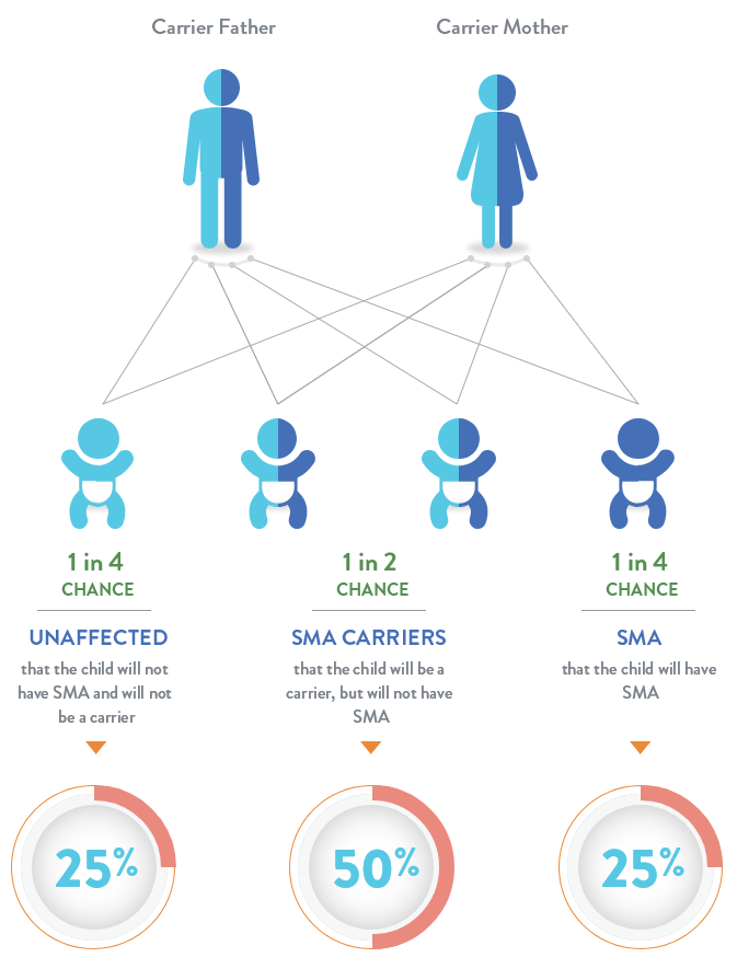 How is sma inherited schema